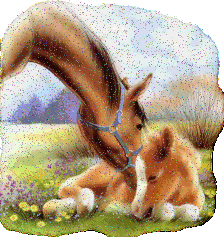 http://www.chevaux.sitew.com/fs/Root/5t5qi-cheval_et_poulain_2.gif